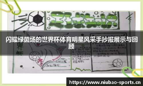 闪耀绿茵场的世界杯体育明星风采手抄报展示与回顾